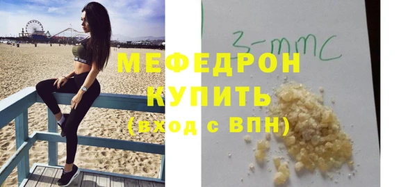 мдпв Гусев