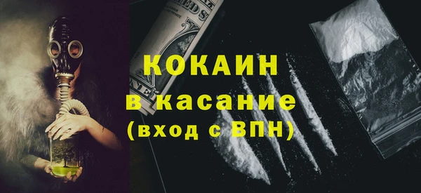 мдпв Гусев