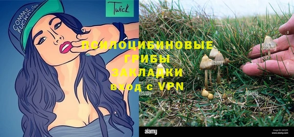 прущие грибы Гусь-Хрустальный