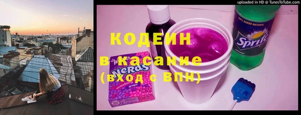 мдпв Гусев