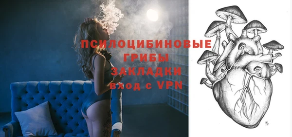 прущие грибы Гусь-Хрустальный
