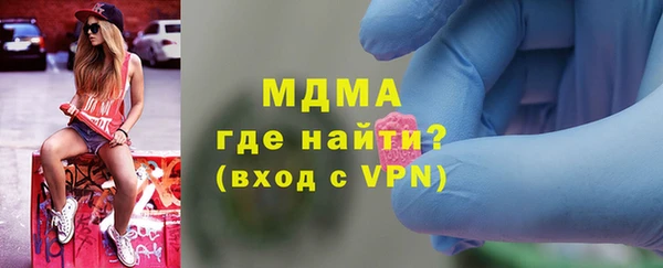 мдпв Гусев