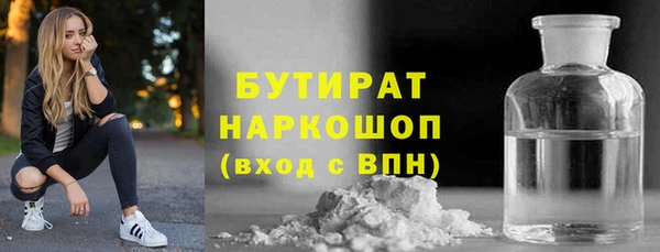 мдпв Гусев