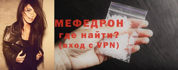 мдпв Гусев