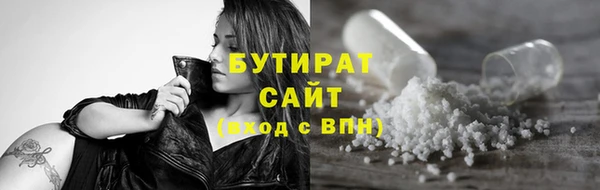 мдпв Гусев