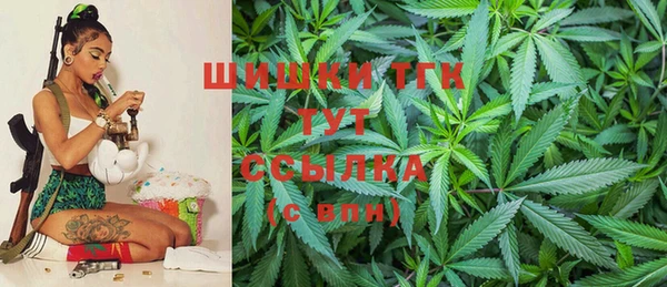 прущие грибы Гусь-Хрустальный