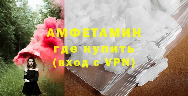 мдпв Гусев