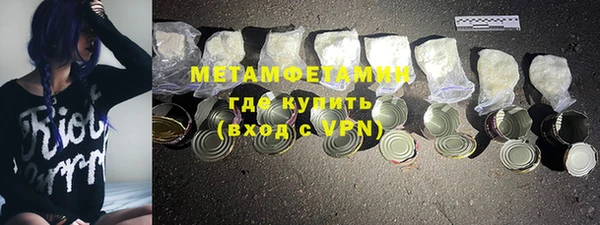 прущие грибы Гусь-Хрустальный