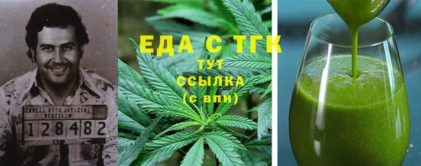 мдпв Гусев