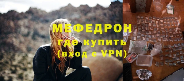мдпв Гусев