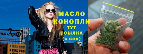 мдпв Гусев