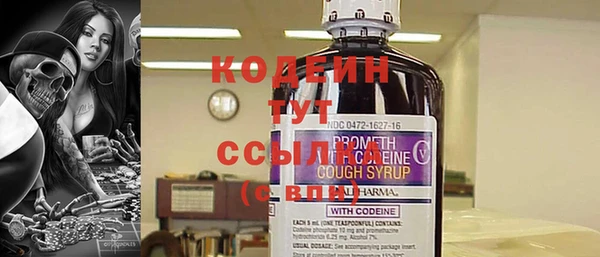 прущие грибы Гусь-Хрустальный