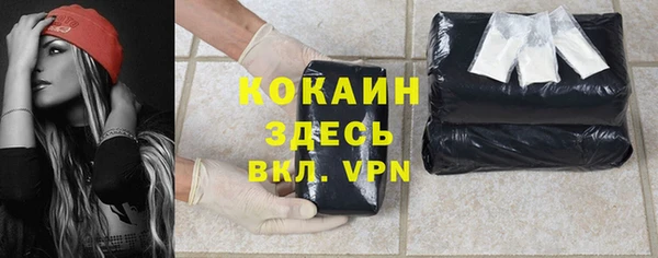 прущие грибы Гусь-Хрустальный
